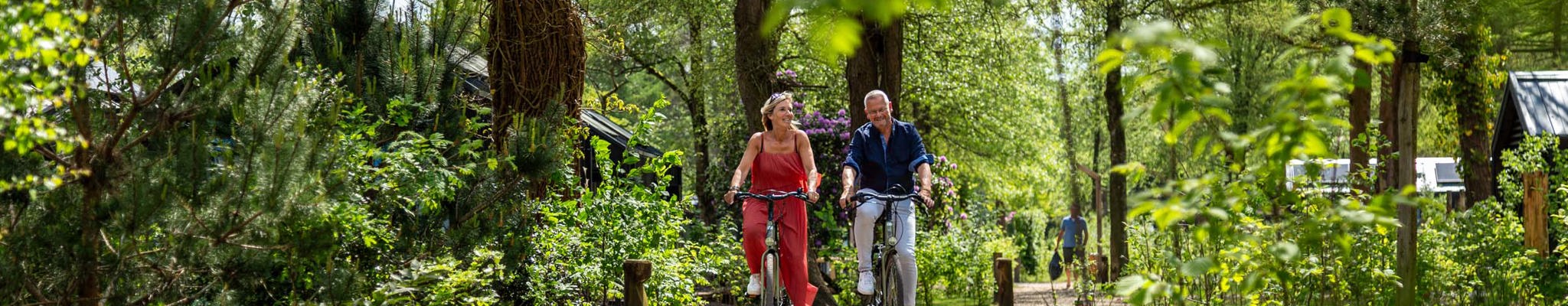 E-Bike und Fahrradverleih