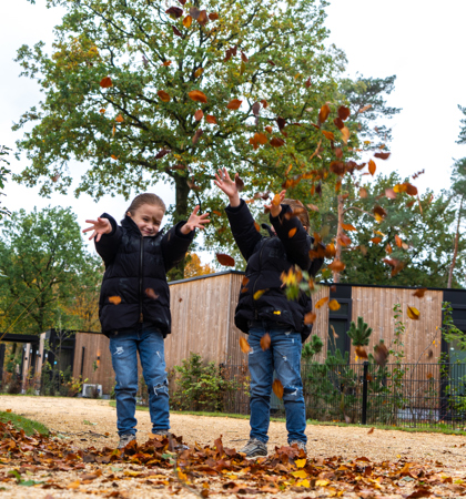 Resort Veluwe Kimberley Kjaer Herfst Vakantiepark Kinderen 16 Ab6a753d 65B7 469F B85f 9D9888a2688a